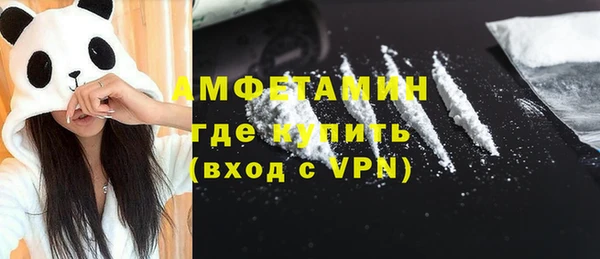 индика Лихославль