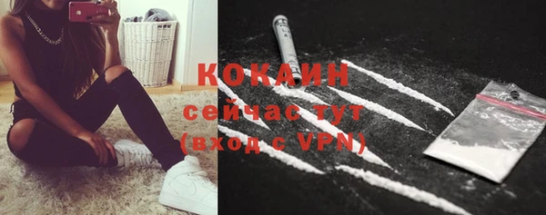 spice Лиски