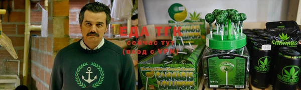 индика Лихославль