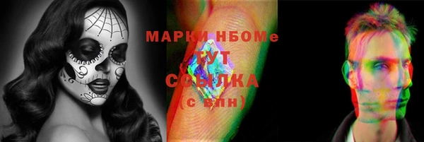 ПСИЛОЦИБИНОВЫЕ ГРИБЫ Липки