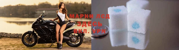 индика Лихославль