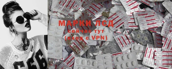 ПСИЛОЦИБИНОВЫЕ ГРИБЫ Липки