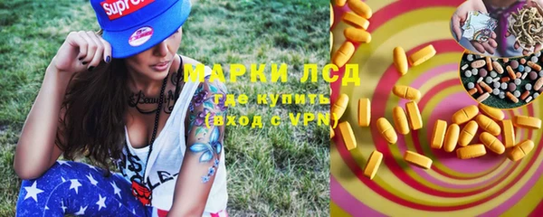 индика Лихославль