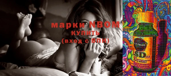 индика Лихославль