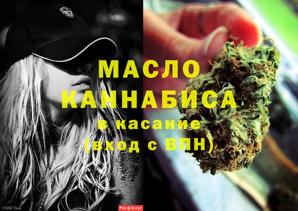 индика Лихославль
