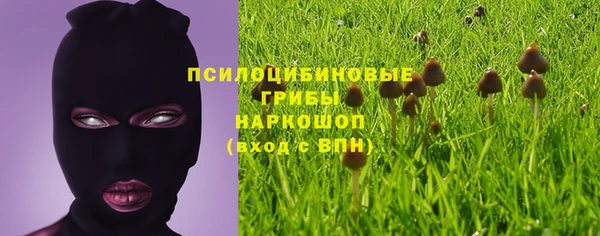 spice Лиски