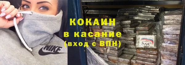 индика Лихославль
