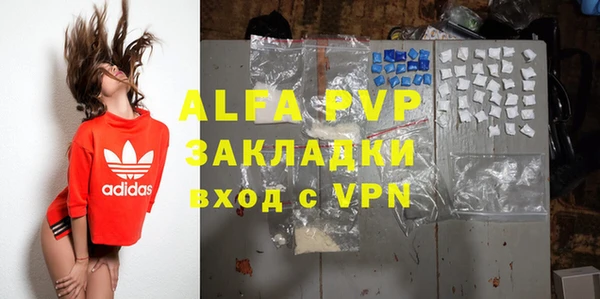 индика Лихославль