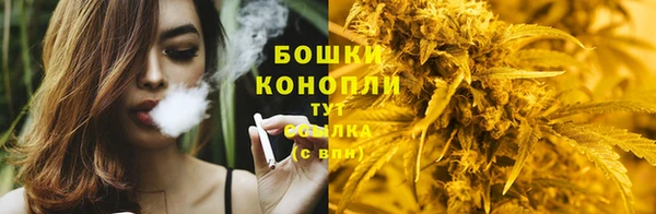 spice Лиски